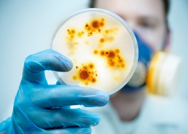 Enfeksiyon Hastalıkları ve Klinik Mikrobiyolojisi
